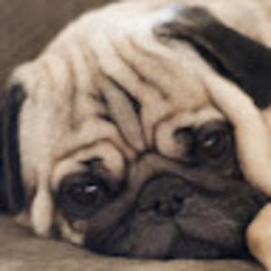 Meet your Posher, Lydia